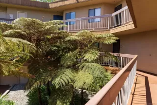 Photo #2: 230015379 Listing