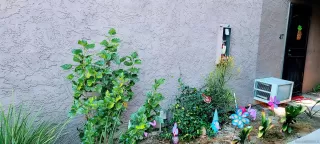 Photo #1: 230015417 Listing