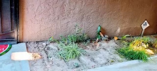 Photo #2: 230015417 Listing