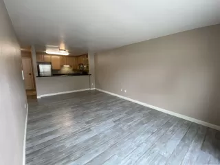 Photo #1: 230015437 Listing 