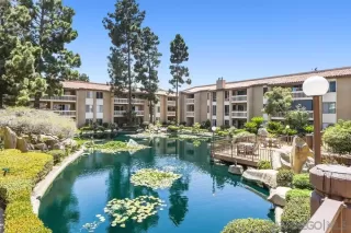 Photo #1: 230015497 Listing