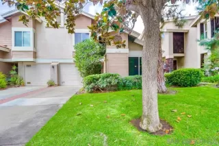 Photo #1: 230015951 Listing 