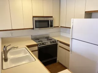 Photo #5: 230015952 Listing 