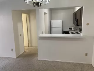 Photo #1: 230015998 Listing