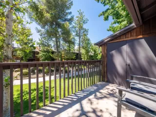 Photo #2: 230016300 Listing 