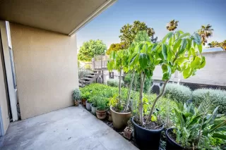 Photo #4: 230016370 Listing