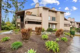 Photo #1: 230016393 Listing 