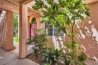 Photo #1: 230016485 Listing