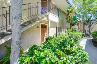 Photo #1: 230016722 Listing