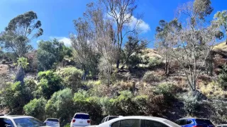 Photo #3: 230016891 Listing