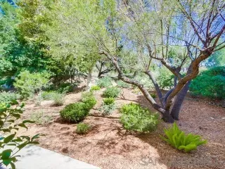 Photo #3: 230017076 Listing 