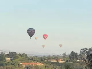 Photo #1: 230017266 Listing 