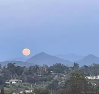 Photo #3: 230017266 Listing 