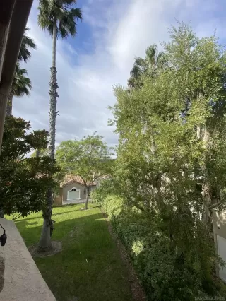 Photo #2: 230017588 Listing