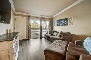 Photo #1: 230017603 Listing