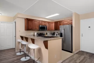 Photo #1: 230017999 Listing