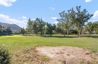 Photo #5: 230018403 Listing 