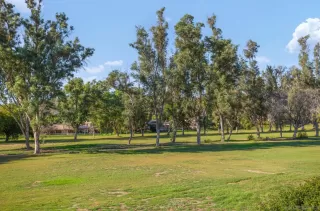 Photo #6: 230018403 Listing 