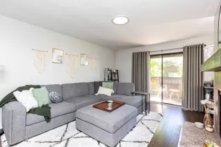 Photo #1: 230018428 Listing 