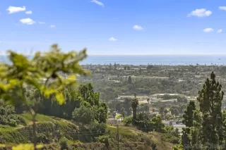 Photo #3: 230018506 Listing