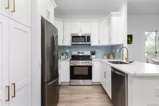 Photo #1: 230018554 Listing 