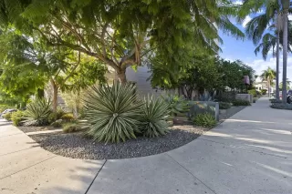 Photo #2: 230018801 Listing