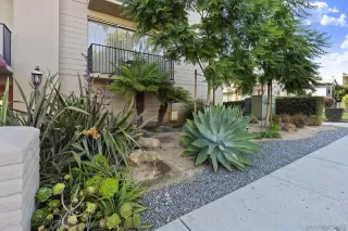 Photo #6: 230018801 Listing