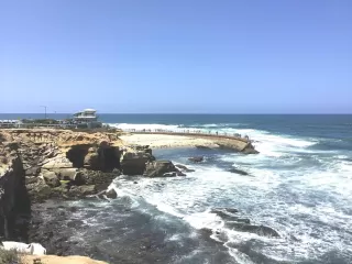 Photo #1: 230018814 Listing