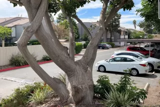 Photo #4: 230019092 Listing 