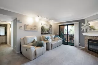 Photo #2: 230019474 Listing