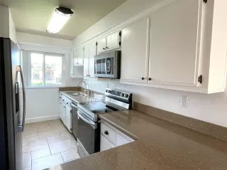 Photo #1: 230019552 Listing