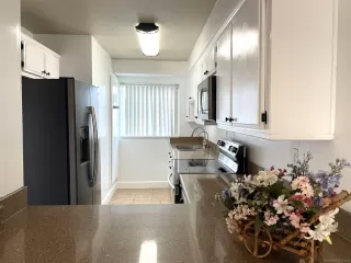 Photo #5: 230019552 Listing