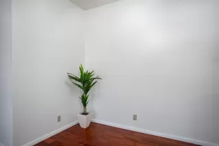 Photo #4: 230019588 Listing