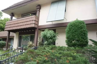 Photo #1: 230019592 Listing 