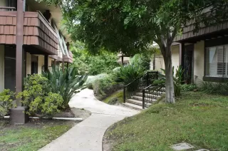 Photo #2: 230019592 Listing 