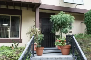 Photo #3: 230019592 Listing 