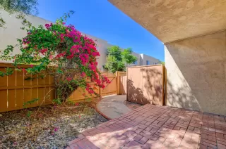 Photo #1: 230019608 Listing