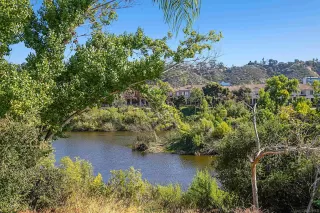 Photo #1: 230019683 Listing 