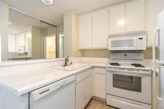 Photo #2: 230019800 Listing