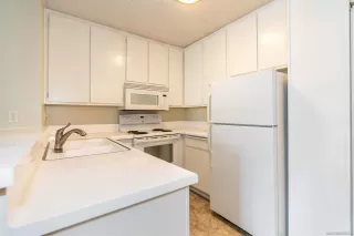 Photo #3: 230019800 Listing