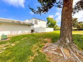 Photo #3: 230019983 Listing 