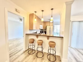 Photo #1: 230020193 Listing