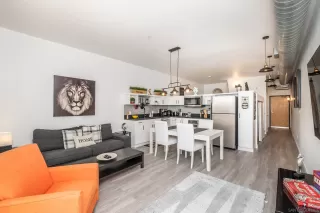 Photo #1: 230020212 Listing