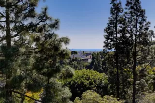 Photo #5: 230020460 Listing