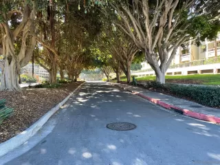 Photo #1: 230020560 Listing 