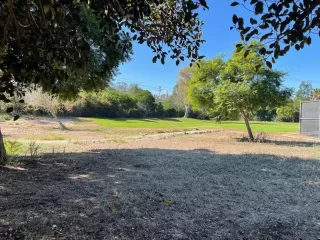 Photo #5: 230020560 Listing 