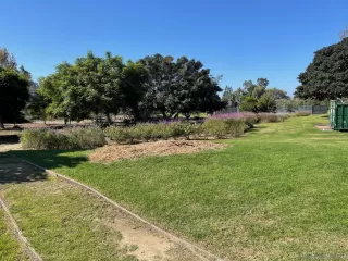 Photo #6: 230020560 Listing 