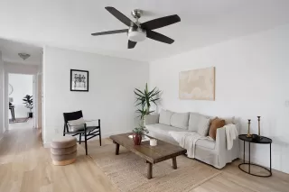 Photo #1: 230020565 Listing