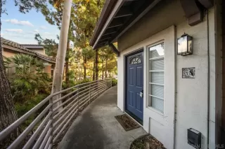 Photo #1: 230020581 Listing