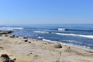 Photo #1: 230020586 Listing